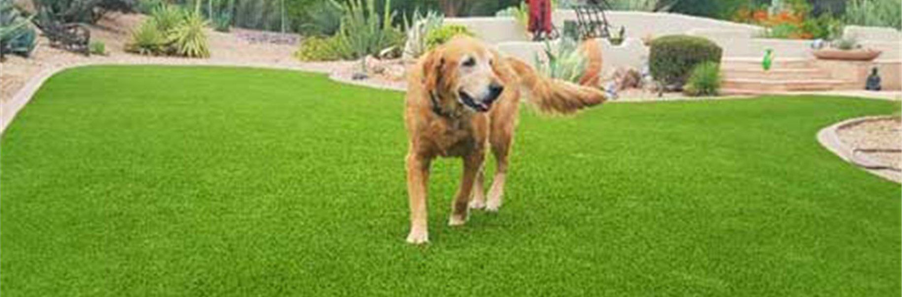 Pet Artificial Grass for any Yards, kennels, dog parks, & more, San Diego