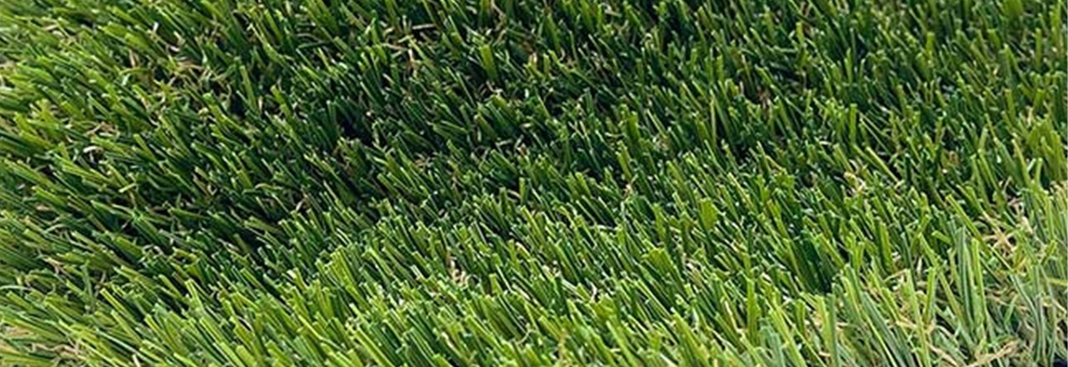 Pine Pro Artificial Grass Landscapes & Pet Areas San Diego, CA