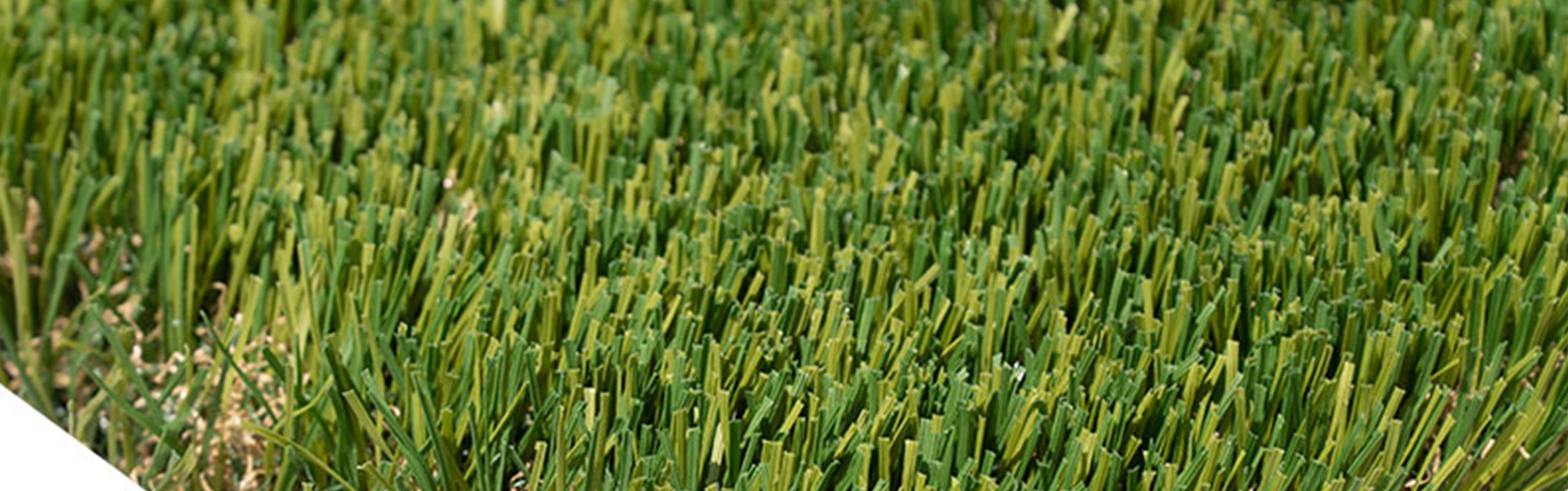 Oakmont Supreme Artificial Grass, Green-R Turf of San Diego